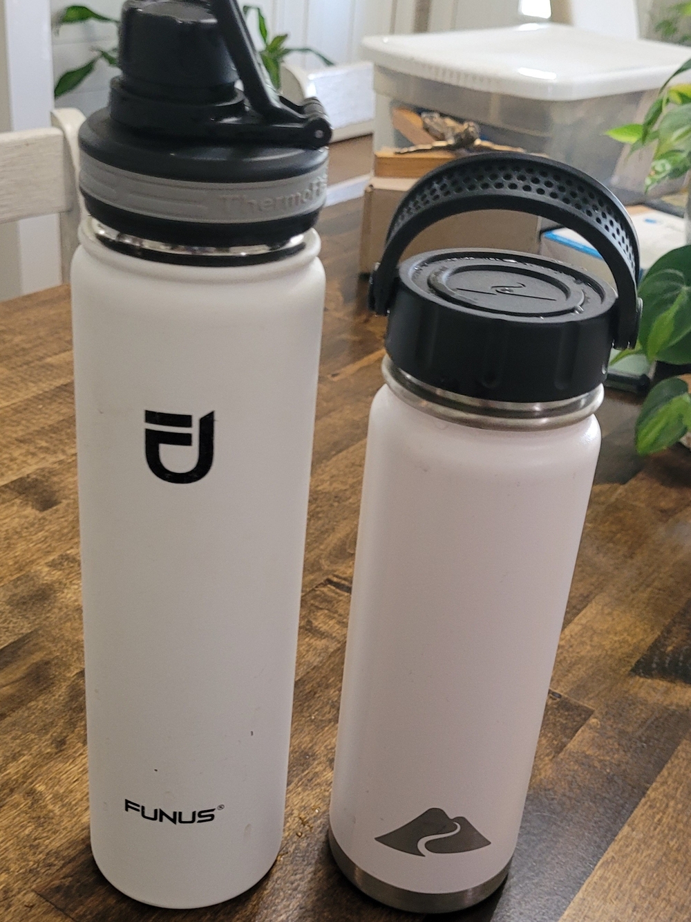 Stainless Steel Insulated Water Bottles
